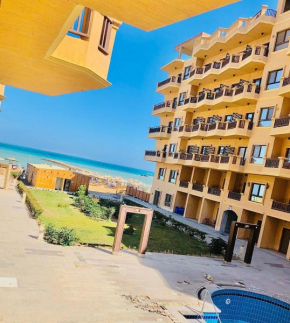 Turtles beach 218